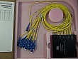 1x10 10 Channel C-band 100GHz-grid 300GHz-space DWDM mux, module 2 grid 1. With SC/PC fiber connectors. JDS P/N: WD15010M1M2-NT1