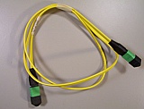 MTP/APC(female) - MTP/APC(female)  12-fiber jumper. 3-feet