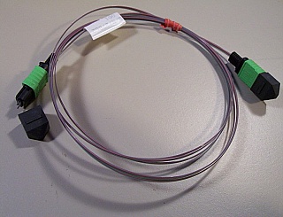 MTP/APC(male) - MTP/APC(male)  8-fiber jumper, P/N:86290-3296.