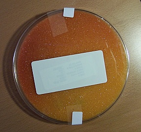 LC/UPC-LC/UPC simplex 4-meter SMF jumper, 250um-coating bare fiber. JDS model no: J-LCLC-ZH-004-JT