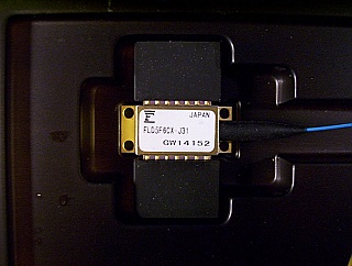1552.52nm 10mW 14-pin butterfly Laser Module. FLD5F6CX-J-31.