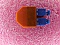 Min order qty = 40pc. SC/PC MM loopback. AFOP P/N: 754-5300-0S600