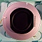 OFS(Lucent) C-band DCM for standard SMF with 100% slope compensation, actual dispersion: -52 ps/nm at 1550nm, Type: HFDK:51.