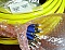 16-Fiber FC/UPC-FC/UPC SM FAN-out, about 23-meter long