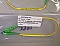 6 dB at 1550nm 0.4-meter SC/APC-SC/APC 3mm cable fiber jumper.