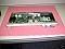 ASTRALPOINT OC192 LR-SM LINE CARD, ITU CH 36.  1548.52nm