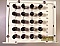 Dicon 1X20 Multi-Channel Fiberoptic Switch. P/N: S-20